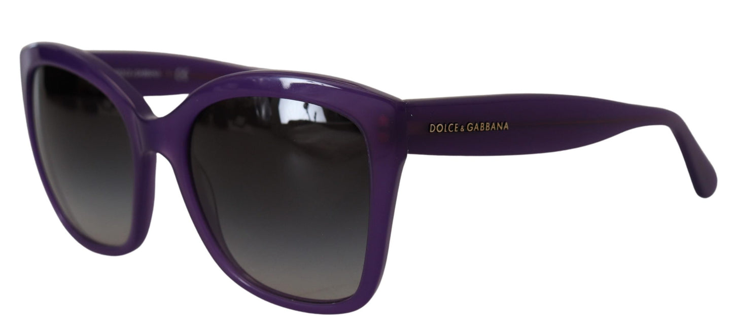 Dolce & Gabbana Purple Acetat Square Vollrand DG4240 Sonnenbrille
