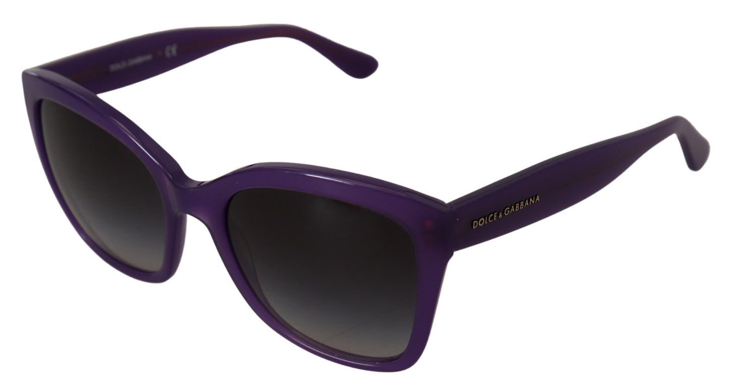 Dolce & Gabbana Purple Acetate Square Full Rim DG4240 Lunettes de soleil