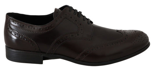 Dolce & Gabbana Brown Leder Broques Oxford Wingtip Schuhe