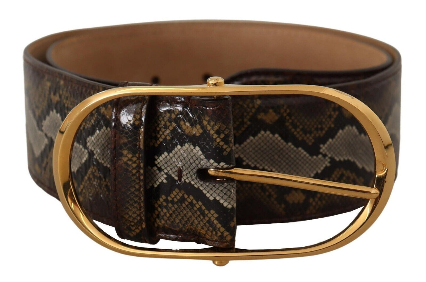 Dolce & Gabbana Brown Python in pelle Python Gold Fibbia ovale
