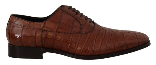 Dolce & Gabbana Brown Crocodile Leather Mens Derby chaussures de derby
